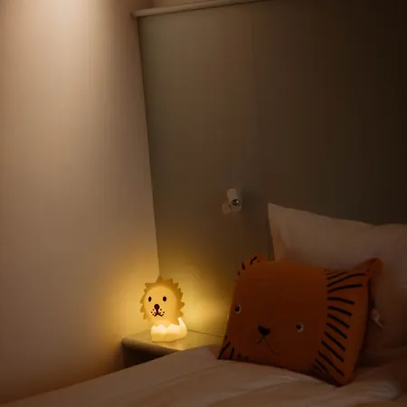 Hotell Kleiner Loewe - Stadthotel Bregenz