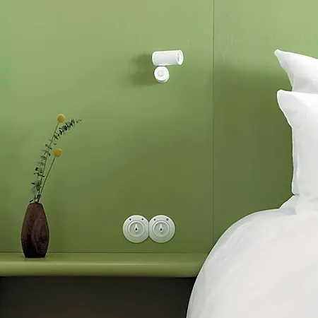 Kleiner Loewe - Stadthotel * 브레겐츠